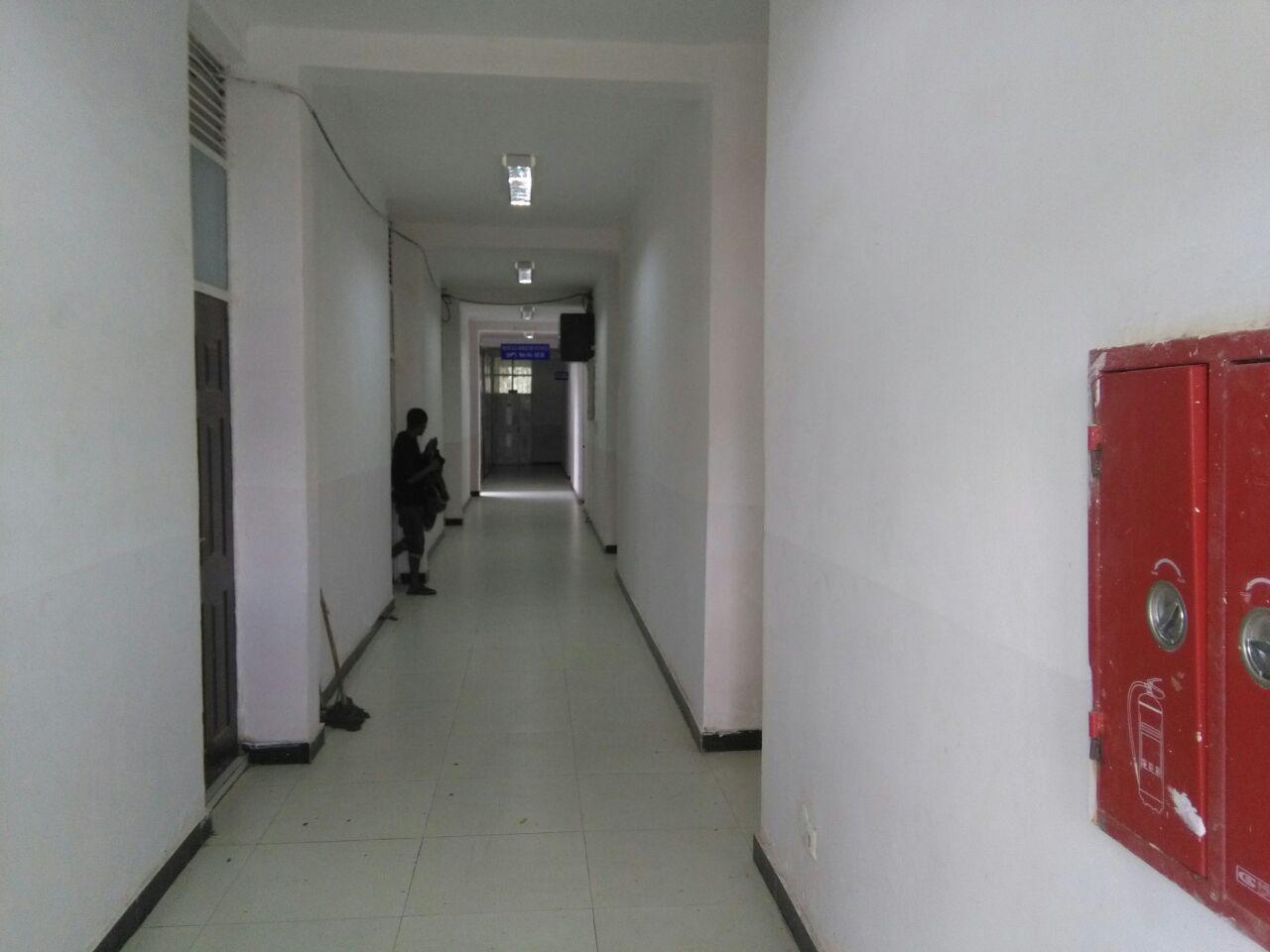 Medical Bacteriology I